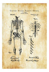 Anatomical Skeleton Patent - Decor, Doctor Office Decor, Nurse Gift, Medical Art, Medical Decor, Patent Print, Medical Poster, Doctor Gift Art Prints mypatentprints 