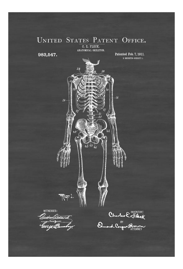 Simple Anatomical Skeleton Patent Print 1911 - Doctor Office Decor, Nurse Gift, Medical Art, Medical Decor, Medical Poster, Doctor Gift Art Prints mypatentprints 