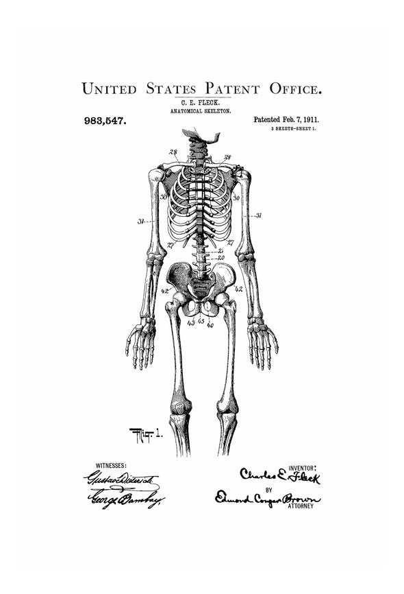 Simple Anatomical Skeleton Patent Print 1911 - Doctor Office Decor, Nurse Gift, Medical Art, Medical Decor, Medical Poster, Doctor Gift Art Prints mypatentprints 